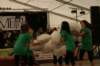 dsc01946_small.jpg